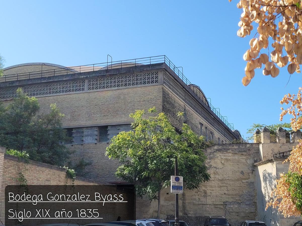 Jerez Centro Historico Apartment Jerez de la Frontera Bagian luar foto