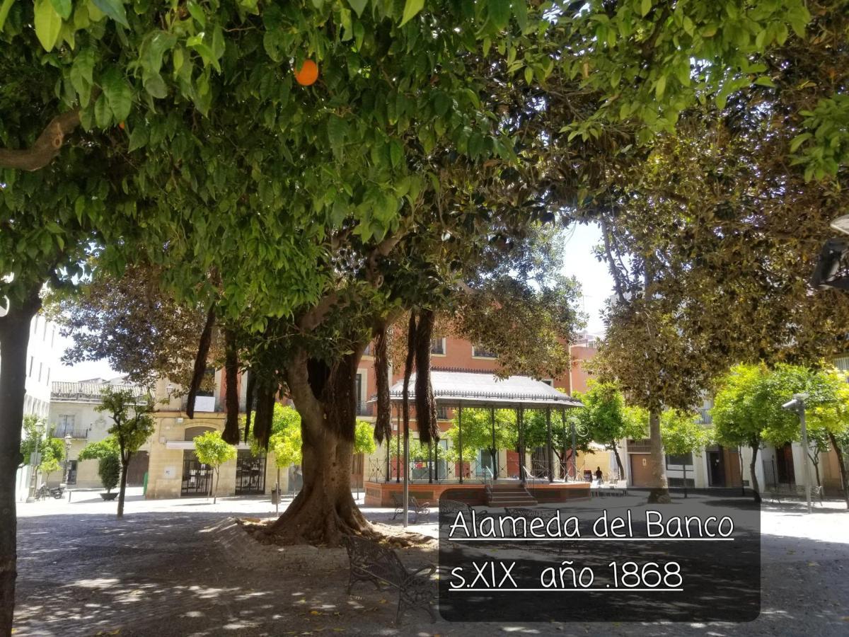 Jerez Centro Historico Apartment Jerez de la Frontera Bagian luar foto